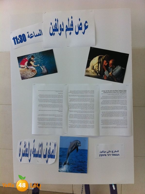 filmdolphin1 (3).jpg